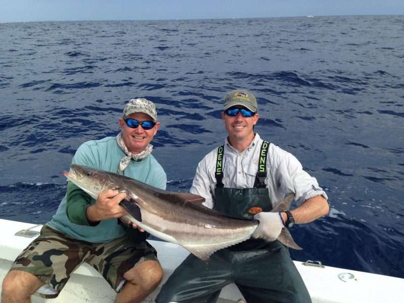 Pesca pesce cobia