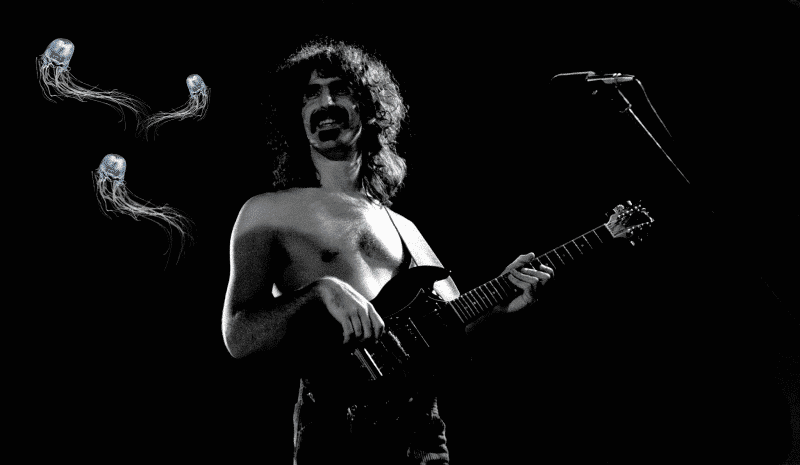 frank zappa medusa