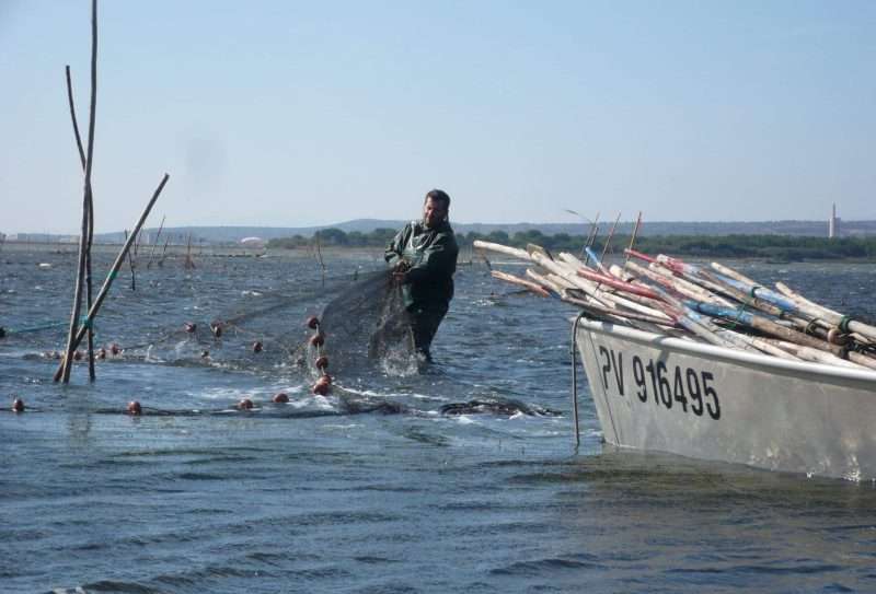 Pesca con le reti fisse