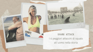 Shark attack, I 6 peggiori attacchi di squalo all'uomo nella storia