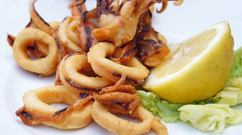 calamari 3147644 1280