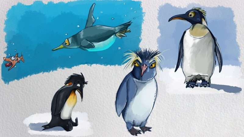 10 curiosità sui pinguini che forse non conoscevate