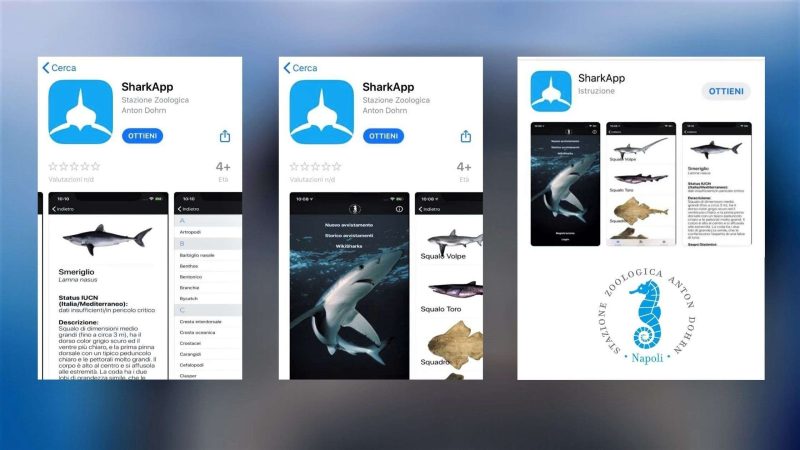 SharkApp