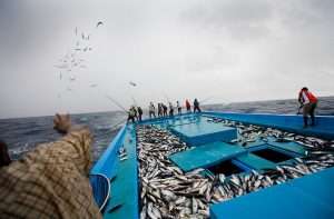 pole line fishing