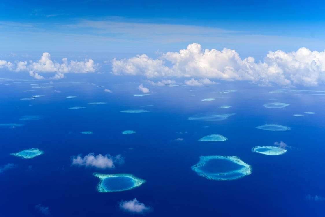 maldive 9