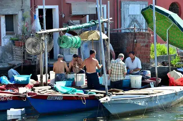 chioggia