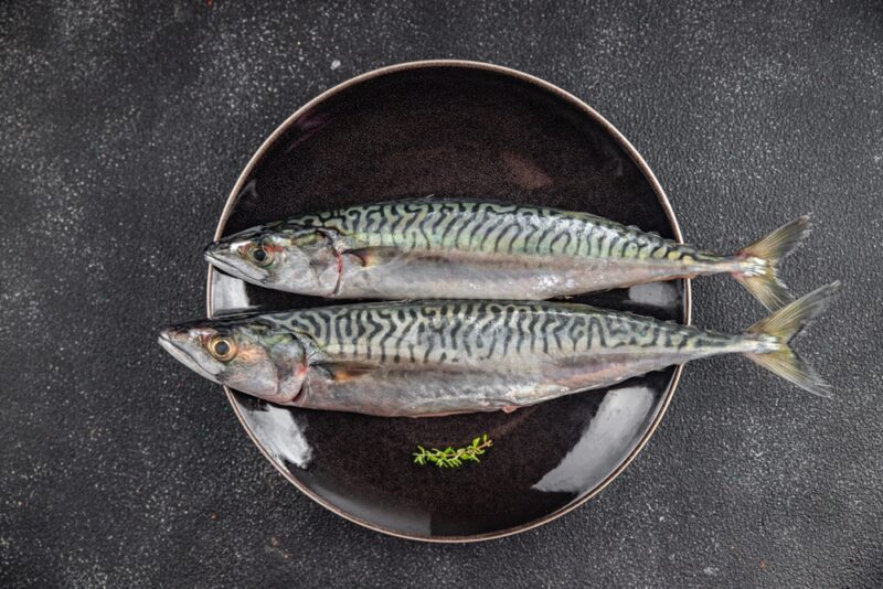 Verità e miti sul pesce azzurro tutto quello che devi sapere